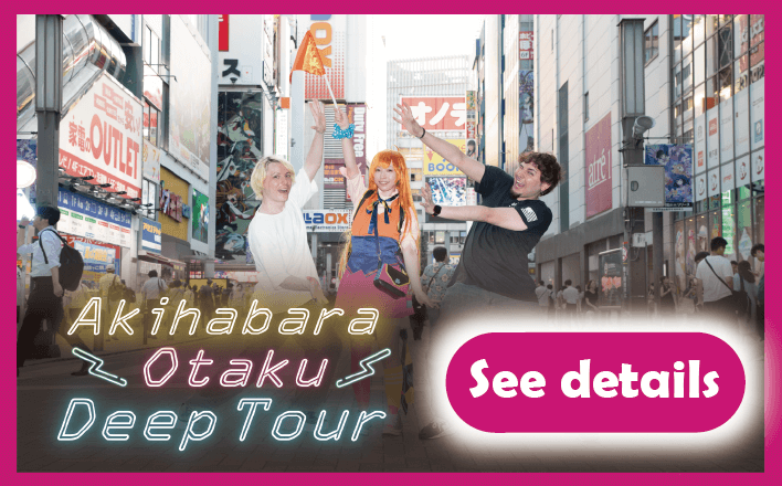 Akihabara Otaku Deep Dive Tour